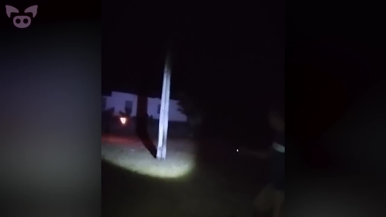 This Crazy Footage is Going Viral Right Now