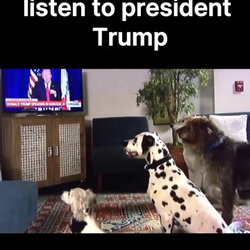 WHEN TRUMP TALKS...YOU LISTEN