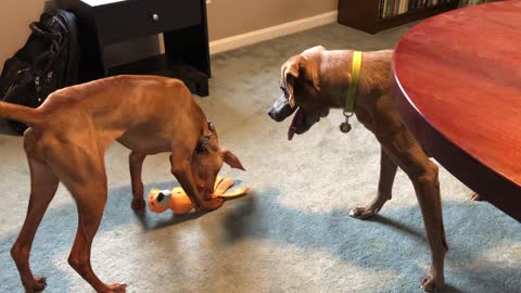 Reagan and Maddie fight over toy