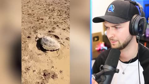 World most viewed shorts