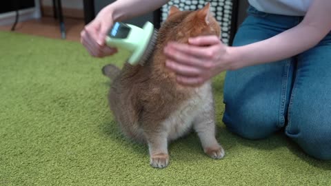 I cleaned my fluffy coat!