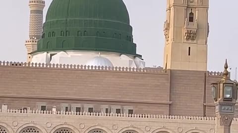 Madina 💚