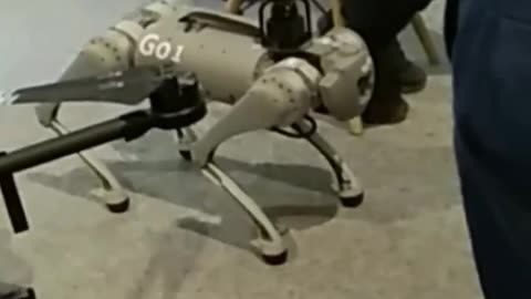 The military dog robot😁😁