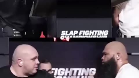 Greatest Slapfight EVER