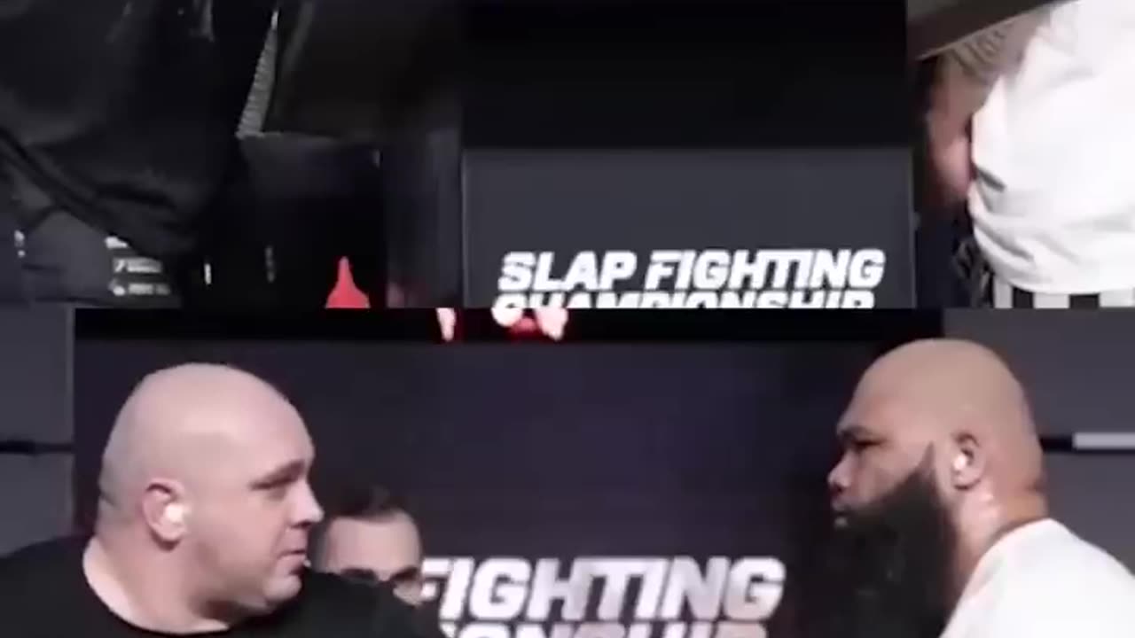 Greatest Slapfight EVER