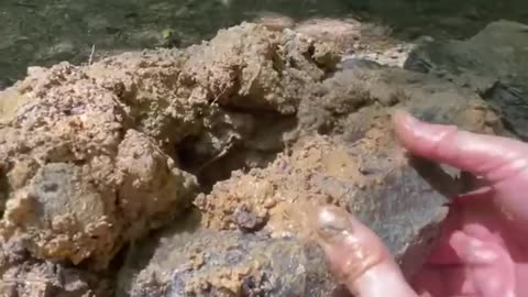 Cooking lahmacun in a Stone oven