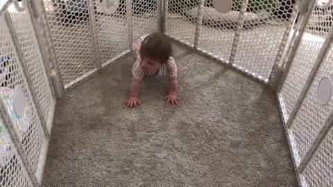 Baby crawling