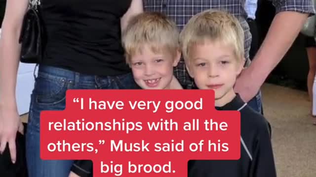 Elon Musk broke his silence on his estrangement from daughter Vivian.