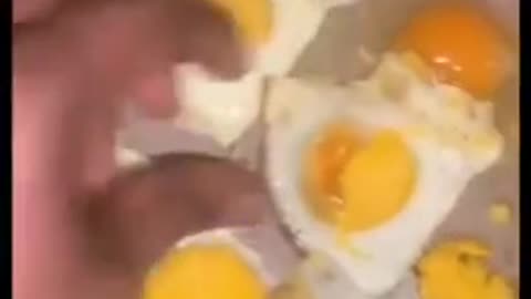 Aldi, Walmart, Eggland’s Best Eggs Many Contain Plastic