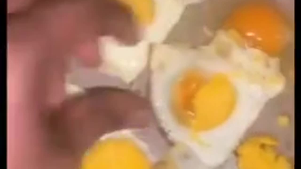 Aldi, Walmart, Eggland’s Best Eggs Many Contain Plastic