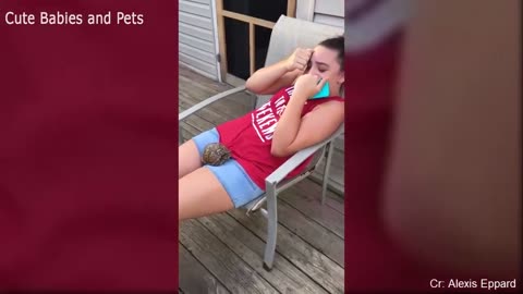 Wild & Wacky pet Animal Antics: Chasing Humans Edition