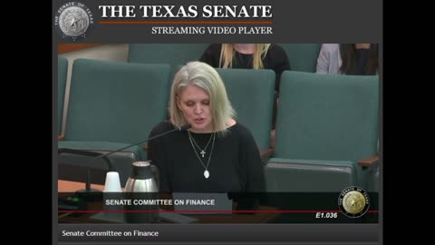 TX Director of MassResistance Testifies in Senate Finance Committee