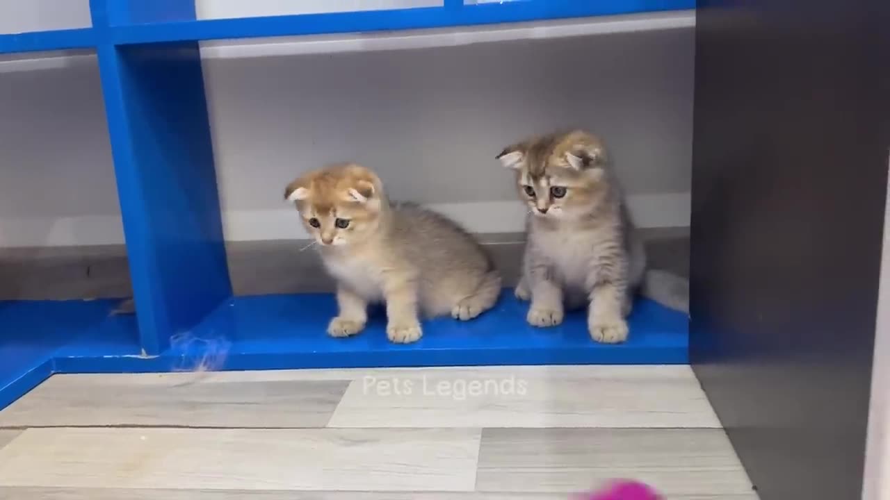 😉😁🤗