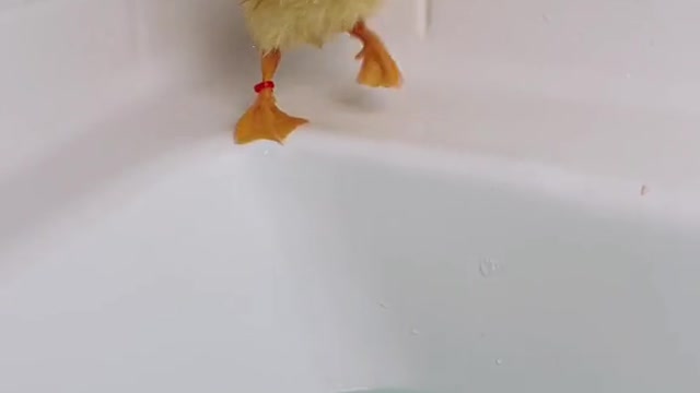 Bath time