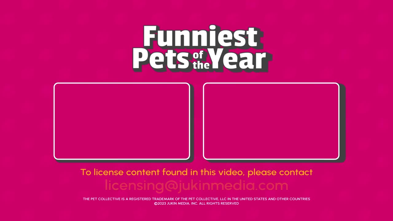 The FUNNIEST Pet Videos of 2024