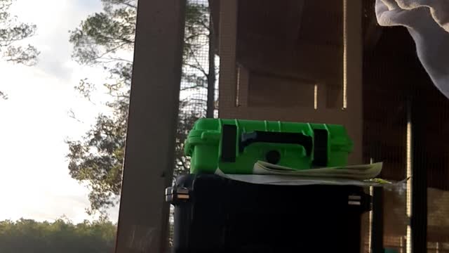 Ran suppressed today