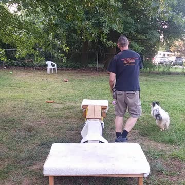 Soccer ball play with platforms and balance beams 3