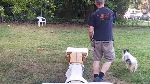Soccer ball play with platforms and balance beams 3