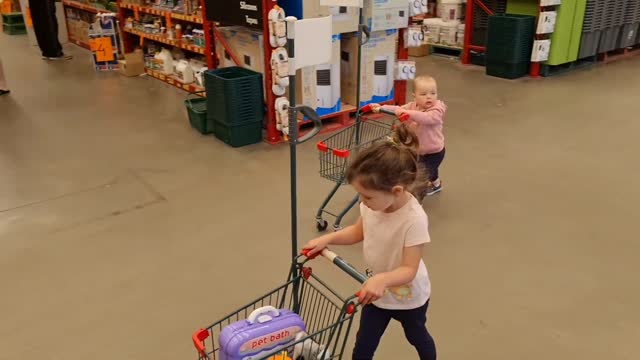 Little Girl And Toddler Go Shopping With Mini Carts