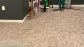 Kid Falls Head Over Heels For Easter Present