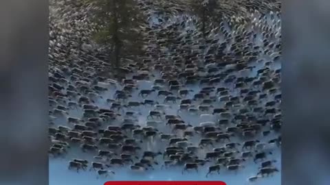 This is a strange incident