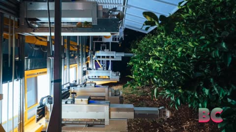 AI-powered fruit-harvesting robot to test in Central Valley