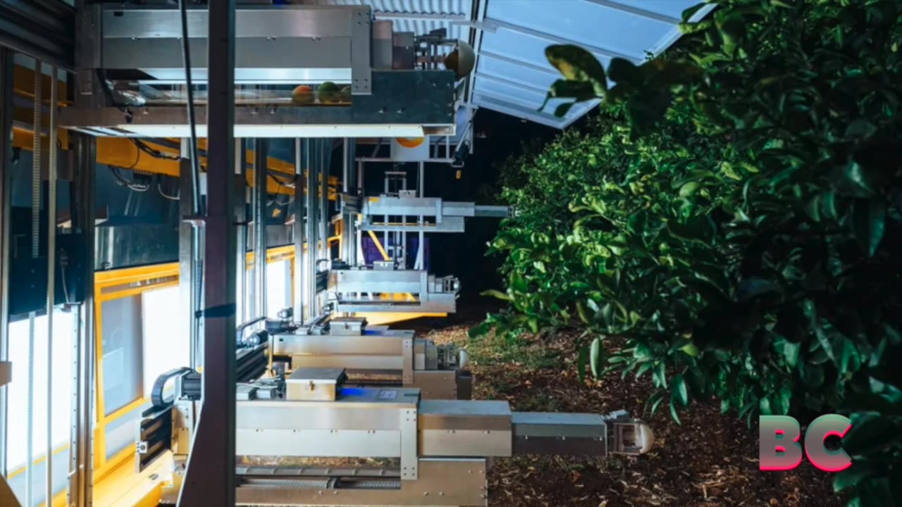 AI-powered fruit-harvesting robot to test in Central Valley