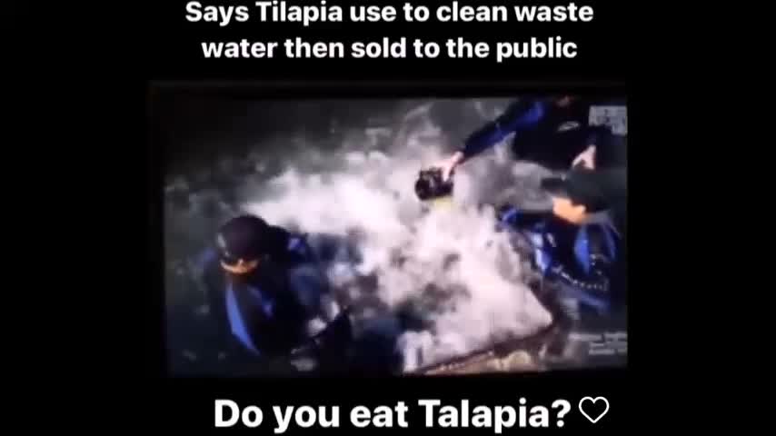 Do you eat tilapia?🐠 💩🤮