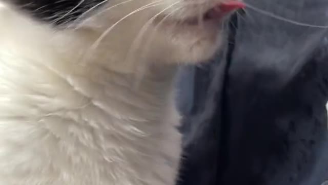 La señora charlie siempre diva