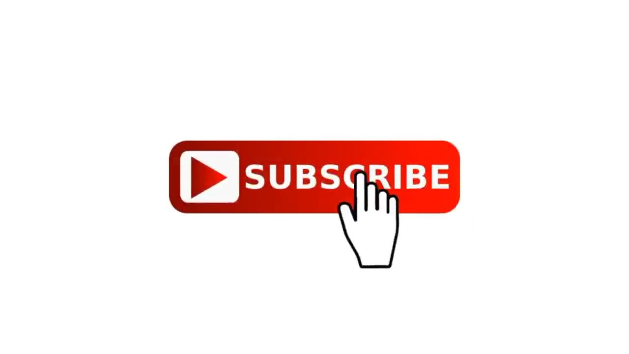 Animal funny video