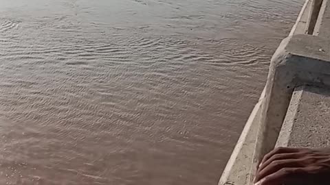 Flood situation