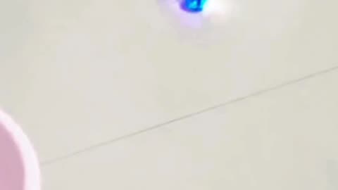 Animal funny moment 😁🤣