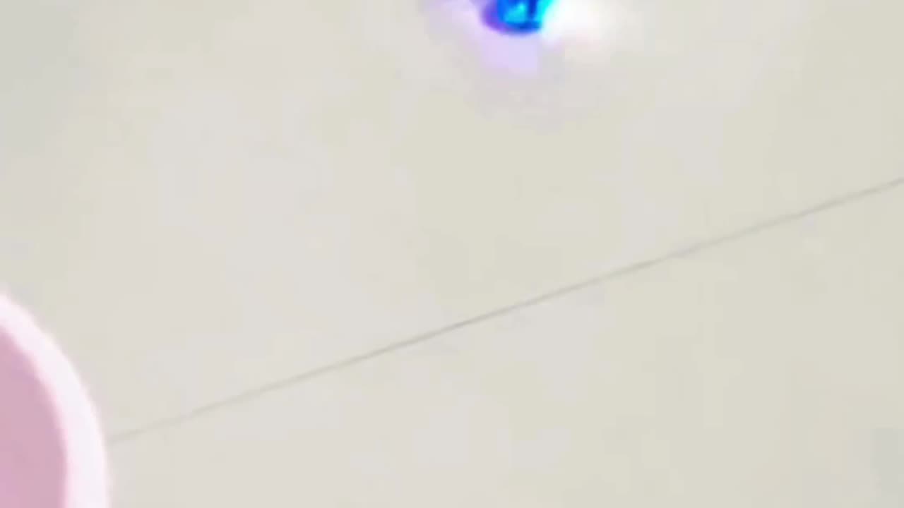 Animal funny moment 😁🤣