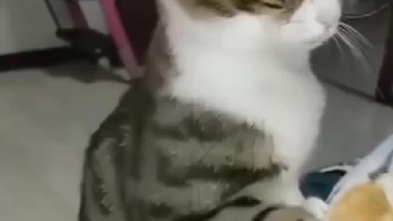 When you do your best but the patient is unappreciative