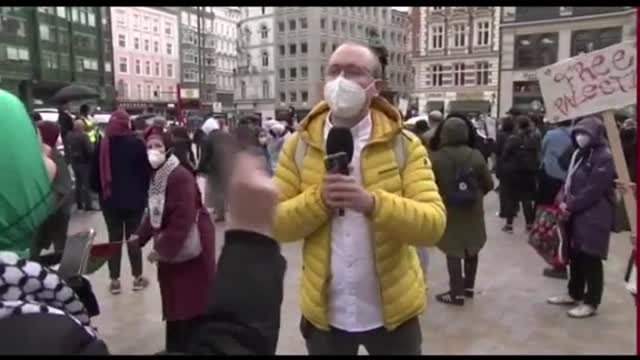 Palästina DemonstrationFrau sagt die Warheit mitten in derBild-Livesendung