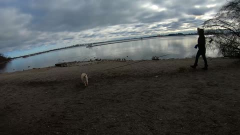 Loving The Dream - LaSalle Park, Hamilton ON