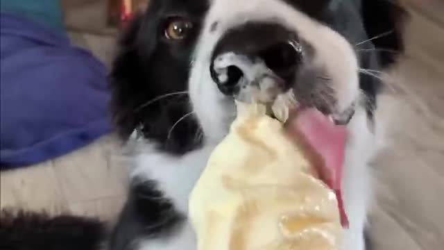 Omg, this is so adorable!