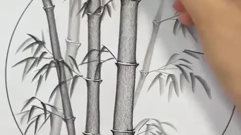 Bamboo tree drawing