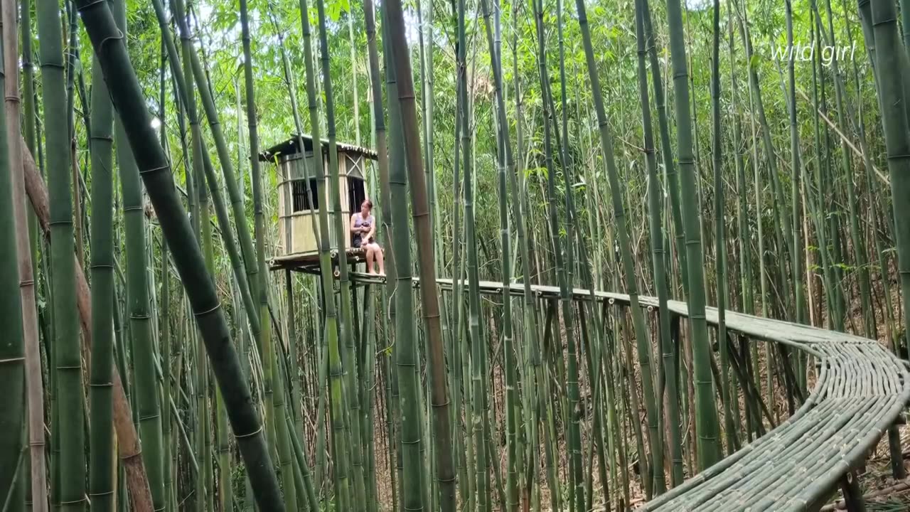 Girl building bamboo shelter on top of bamboo tree