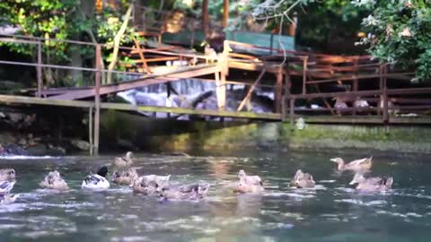 Relaxing Music | Sleeping, Meditation, Stress Relief | [6059] ⭐️