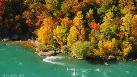 Nature ! Autumn ! 4K ! Relaxation