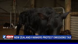 New Zealand farmers protest emissions tax