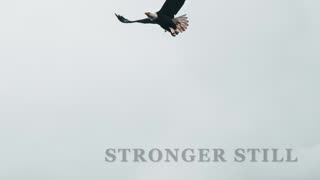 Pray USA, 5/8/23 Stronger Still