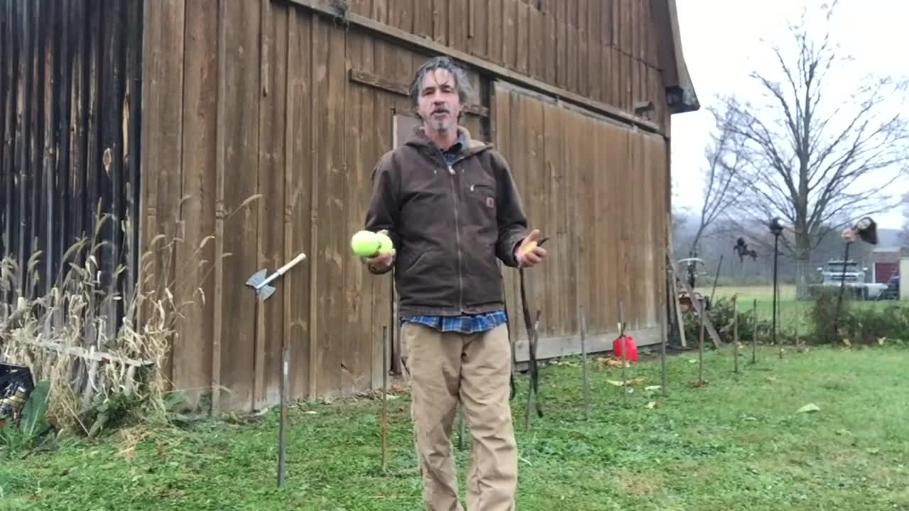 Agility with Australian Cattle dog