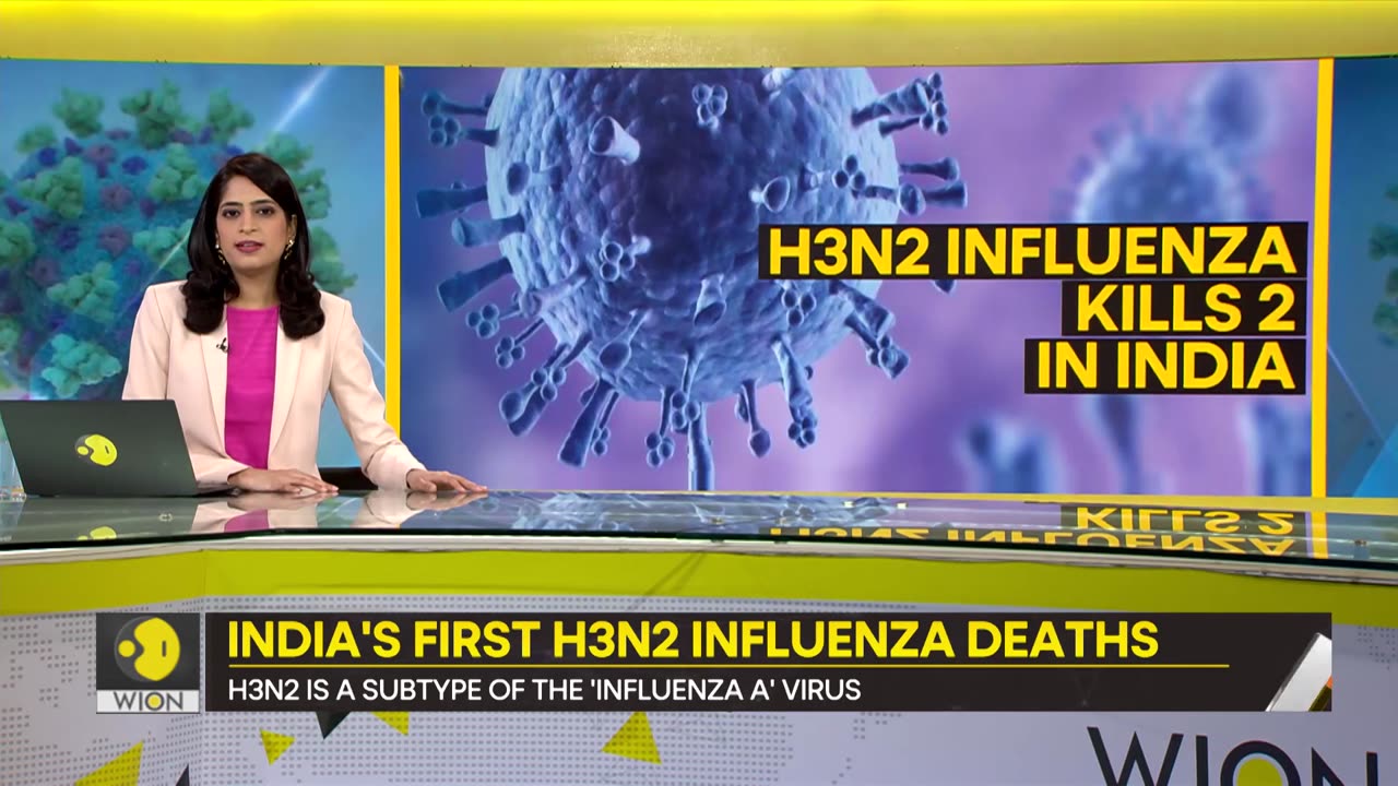 Gravitas- How to protect yourself from the H3N2 flu