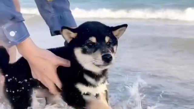 It's the people that are most like it." How long has it been since you've been to the beach