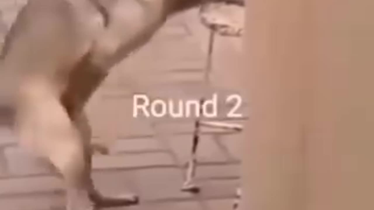 Funny