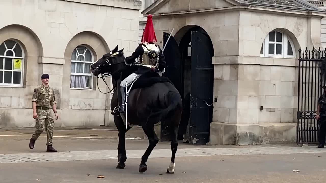 Queen’s Guard Horse Goes Crazy