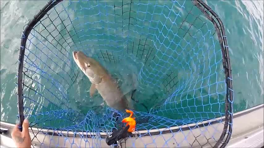 Proper use of Boga Grips on Muskie