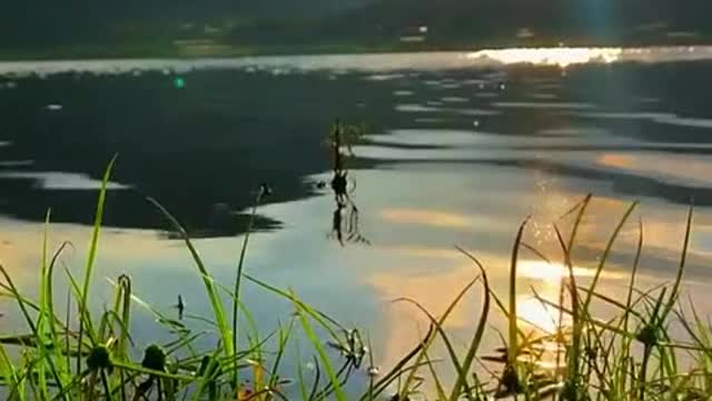 Nature is so beautiful and should be enjoyed